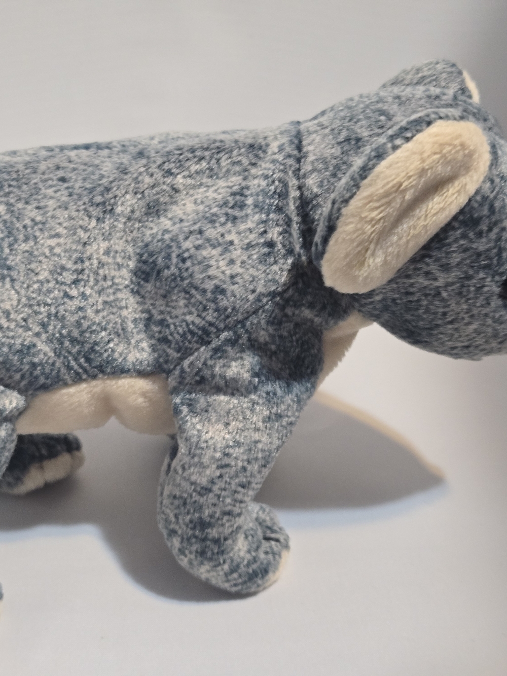 Ty Beanie BabyEucalyptus the Koala- introduced in 1999 - Picture 2 of 11